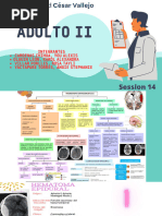 Semana 14