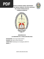 Las-Inmisiones en La Legislacion Boliviana