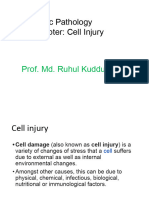 Cell Injury - 09.08.2023.ppt-1