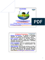 2º Slide - O Sistema Econômico (Modo de Compatibilidade)