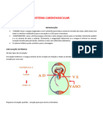 Anatomia II - Sistemas Cardiovascular, Endocrino, Urinário, Reprodutor Feminino e Masculino