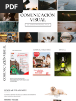 Comunicacion Visual