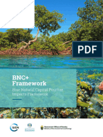 BNC Framework Final