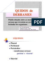 Liquidos de Derrame