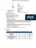 Modelo de Informe - Big Five