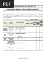 Matriz de Jerarquización