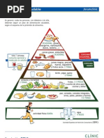 Piramide Alimenticia