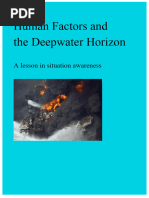 Human Factors and Deepwater Horizon - 0