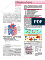 10 - Electrofisiología