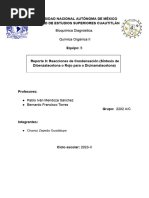 Reporte 8 - Reacciones de Condensación (Síntesis de Dibenzalacetona o Rojo para o Dicinamalacetona)