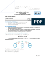 Guia Teorico Practica 3 - Funcion Compuesta