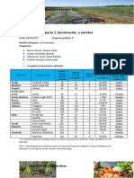 Reporte 1.GrupoA - Grupo5