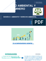 Dere Ambiental y Minero