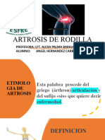 Exposicion Artrosis de Rodilla - 120725