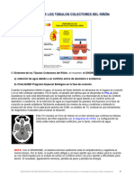 Sindrome TCR. Caroline Markolin. Español