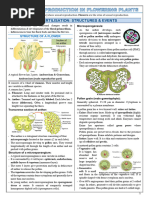 Sexual Reproduction in Flowering Plants - Notes