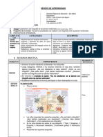 SESIÓN 09 Elaboramos Una Infografía de Las Plantas Medicinales