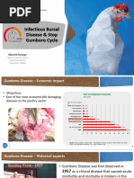 07 Infectious Bursal Disease & Stop Gumboro Cycle - Marcelo Paniago