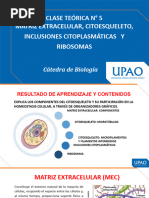 Clase Teórica #5 Matriz Extracelular, Citoesqueleto, Inclusiones Citoplasmáticas - y Ribosomas