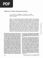 Adhesion of Cells To Polystyrene Surface