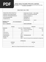 Opes Payslip