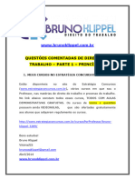 Questões Comentadas Dir Trabalho Bruno Klippel 1