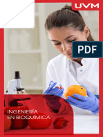 UVM Plan de Estudios. Licenciatura en Bioquímica.