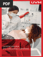 UVM Plan de Estudios. Licenciatura en Cirujano Dentista.