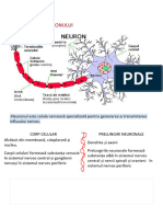 Sistemul Nervos Bac