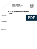 Formato de Proceso Enfermero 2022