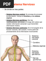 Farmacología Del Sistema Nervioso