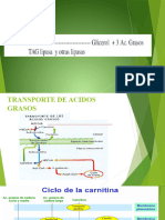 Betaoxidacion de Acidos Grasos Insaturados