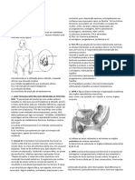 Sistema Reprodutor Lista Biologia Prof Luan