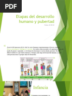 Etapas Del Desarrollo Humano y Pubertad