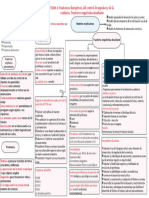 Mapa Cognitivo Trastornos Disruptivos y TND