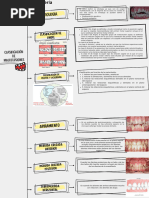 Cuadro Sinoptico - Maloclusione - OlgaFlores