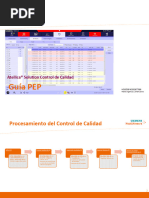 Guia Control de Calidad