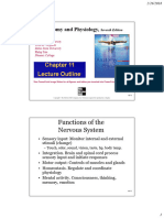 Nerve Physiology