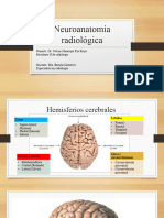 Neuroanatomía Radiológica