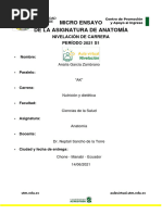 Microensayo Anatomia