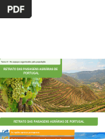 Retrato Das Paisagens Agrárias de Portugal