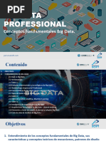 1 Big Data Professional Fundamentos v2 - Conceptos