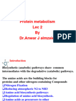 Protein Metabolism2