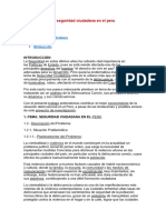 La Seguridad Ciudadana en El Peru