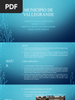 VALLEGRANDE-gestion Ambiental