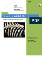 Osteologia Axial