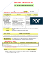 Sesion Cyt-Adaptaciones de Las Plantas y Animales