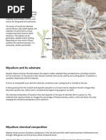 Mycelium PPT 1