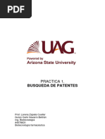 Práctica 1. Búsqueda y Análisis de Patentes en Biotecnología Farmacéutica-3