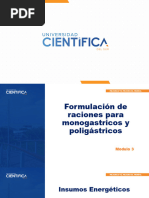 Clase 9 Insumos Energéticos y Fibrosos